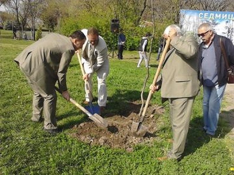 Община Асеновград раздава безплатно дръвчета