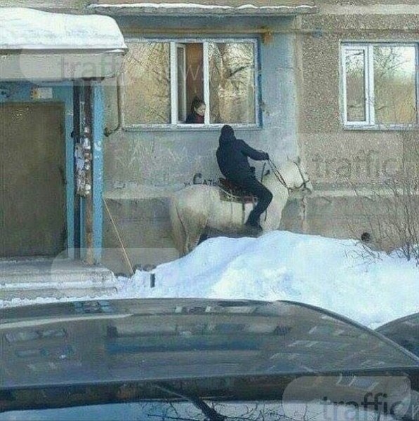 Пловдивчанка срещна принца на бял кон