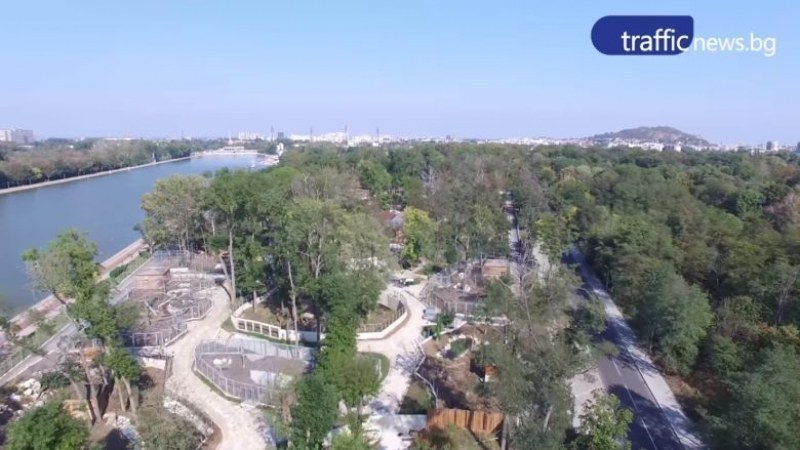 През лятото ще отварят зоопарка в Пловдив