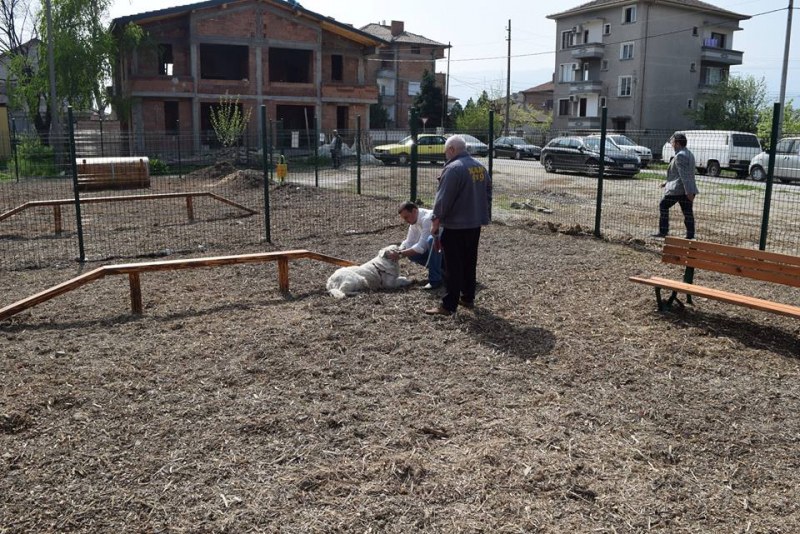 Коматевци се радват на чисто нова площадка за четириногите им приятели СНИМКИ