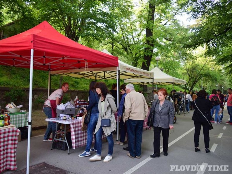 Бунарджика замириса на смокиново кафе СНИМКИ