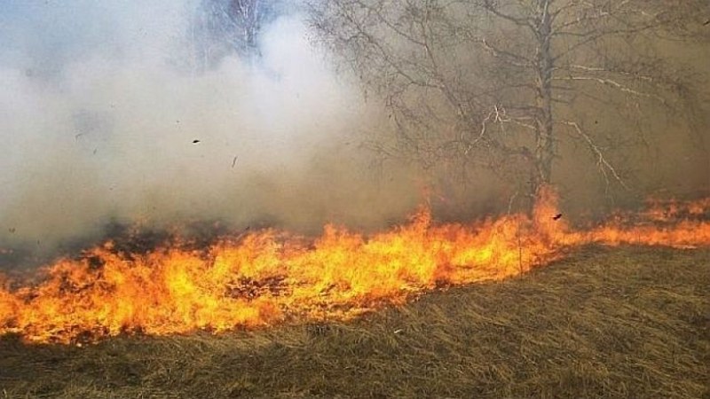 Забраниха паленето на открит огън в Асеновград