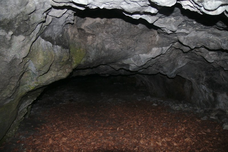 Извадиха двама полуживи иманяри от пещера над Храбрино
