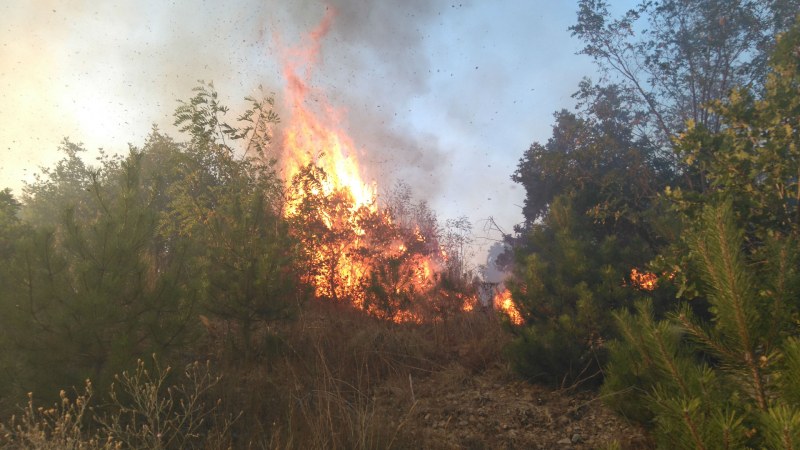 Започна пожароопасният сезон, Община Перущица следи за спазване на забраните