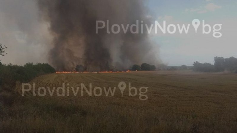 Извънредно! Пожар гори между Чоба и Тюркмен, засегнати са 500 декара жито СНИМКИ