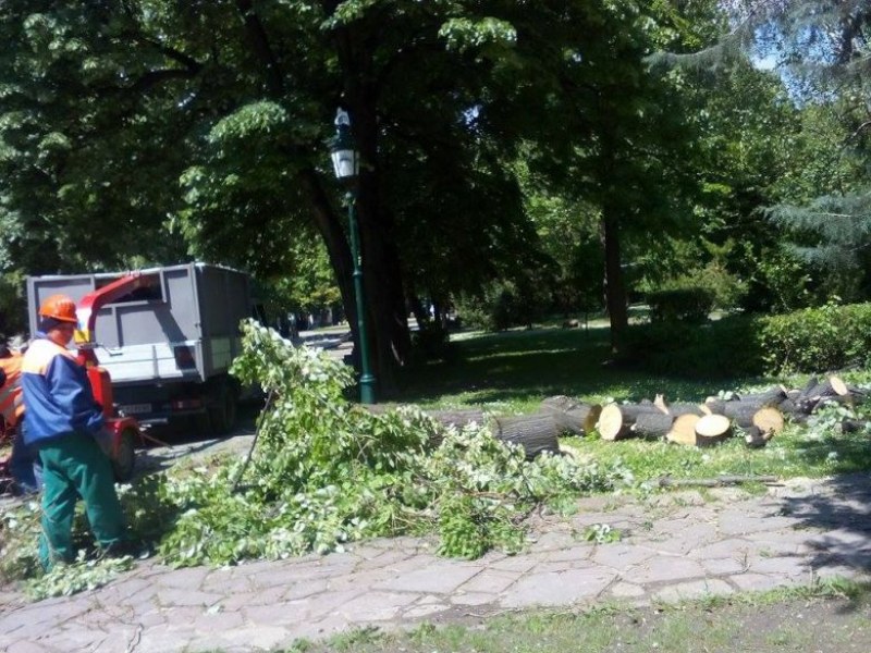 Жълт код за силен вятър в Пловдивско