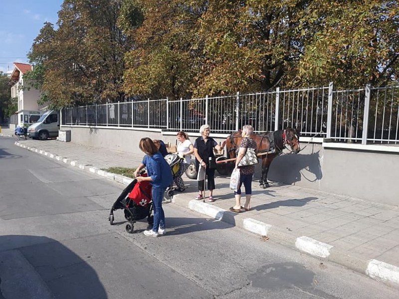 Майки с колички правят път на кон с каруца в Асеновград СНИМКИ