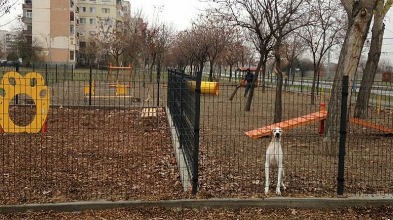 Откриват нова площадка за кучета в Кършияка