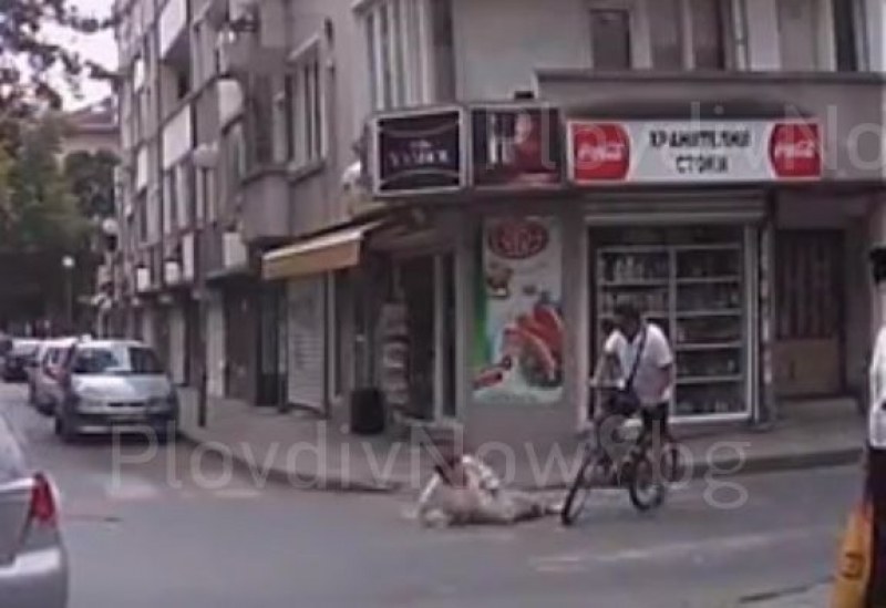 ВИДЕО показва лицето на велосипедиста, блъснал възрастна пловдивчанка! Познавате ли го?
