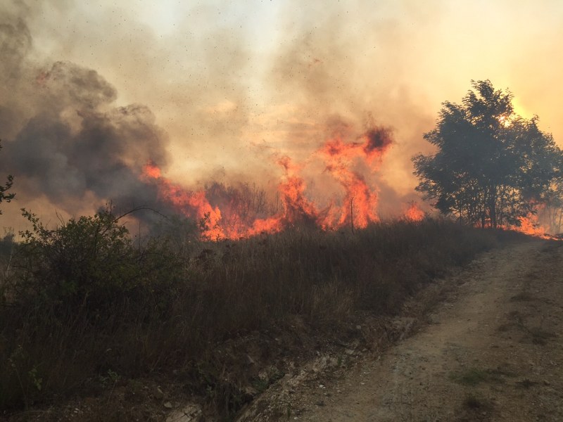 Огнен ад край село Бегово - пожарна и полиция пътуват към мястото!