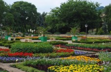 plovdivchani-spasiavat-botanicheskata-512.jpg