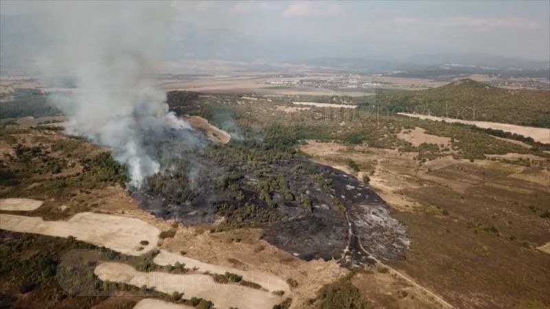 Локализираха пожара край Карлово, който засегна 500 дка