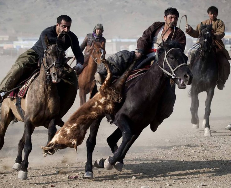 Играта на номадските ездачи войни Кок -Бару сред атракциите на “Хайдутът“ 2018