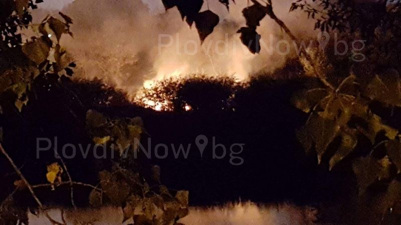 Огнена стихия на метри от водата! Пожар лумна в Пловдив СНИМКИ