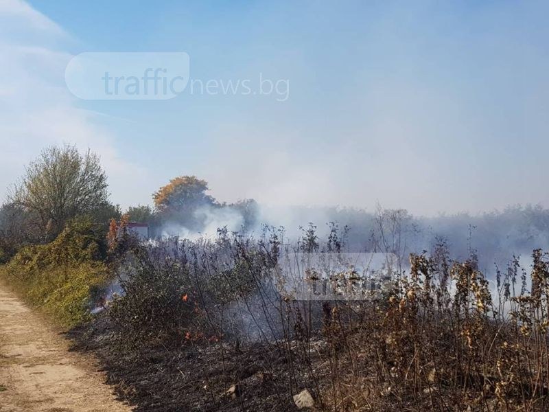 Огънят сe прехвърли през Околовръстното на Пловдив! Пожарната се бори с пламъците СНИМКИ