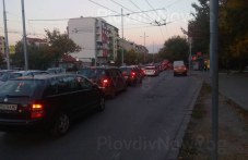 ogromno-zadrastvane-komatevskiia-vazel-213.jpg