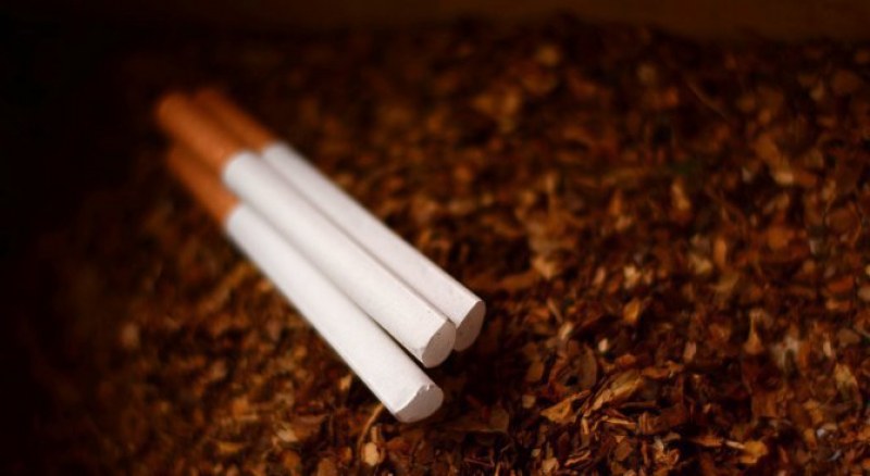 Откриха нелегални цигари и тютюн в „Столипиново“