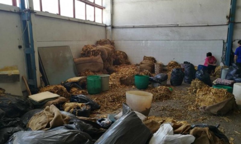 Откриха домашна работилница за тютюн в „Столипиново“, иззеха над 200 килограма тютюн