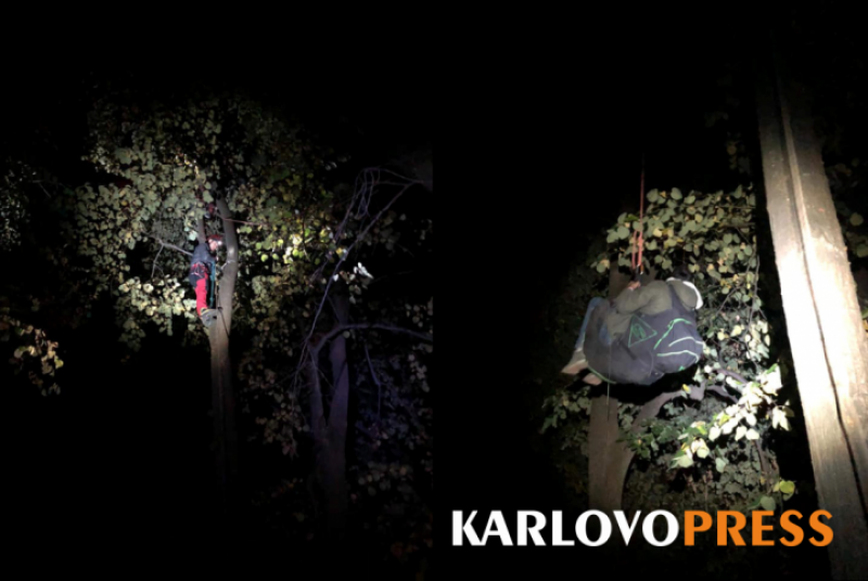 Парапланерист увисна на дърво до лифта в Сопот