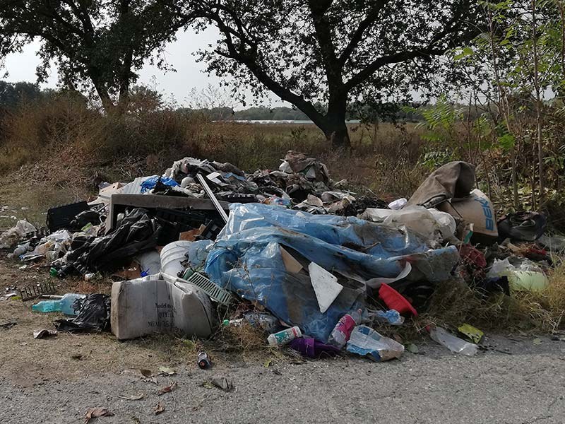 Доброволци изчистиха гората между Строево и Труд СНИМКИ