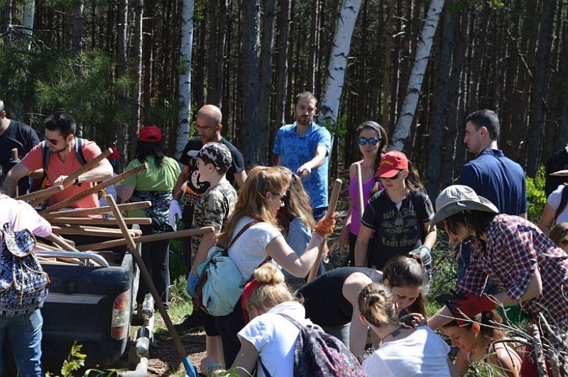 Пловдивски ученици засаждат жълъди и кестени