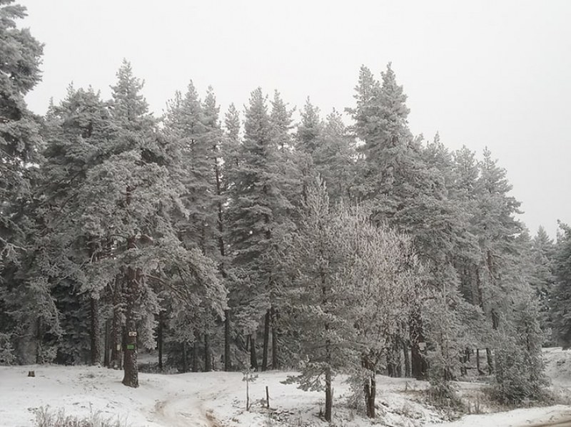 Снежна покривка около 2 см. само на 35 км. от Пловдив! СНИМКИ
