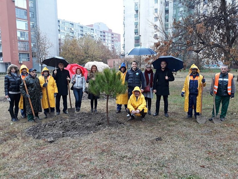 Засадиха 20 нови борчета в парк „Красива България“ СНИМКИ