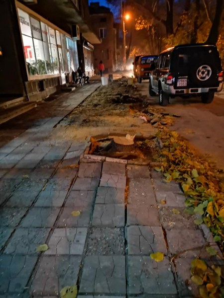 Първи ден от ремонта и ... улица “Асенова крепост“ остана без дървета СНИМКИ