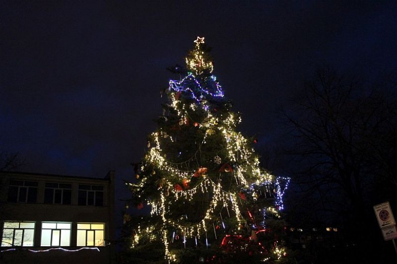 С много музика и настроение запалиха светлините на Коледната елха в „Западен” СНИМКИ