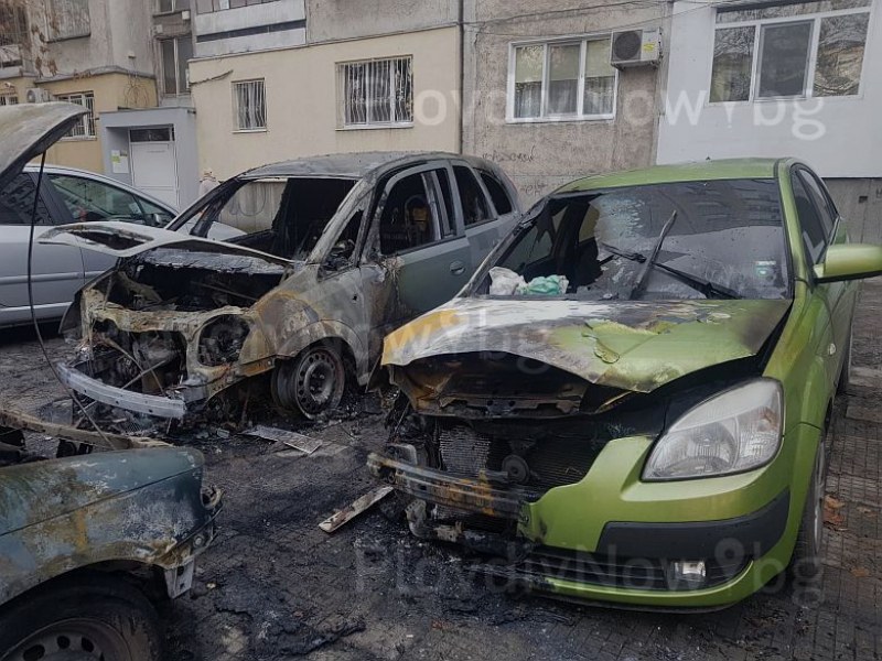 Три коли изгоряха при пожар в Кючука СНИМКИ