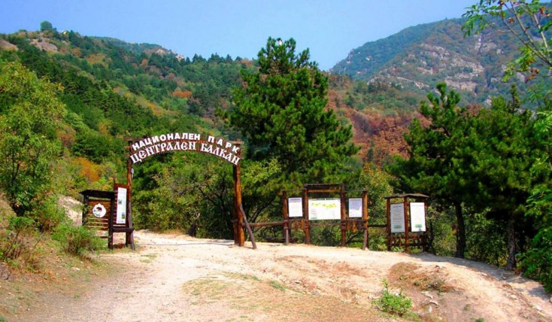 Ще се ползват ли пасищата в Национален парк “Централен Балкан“?