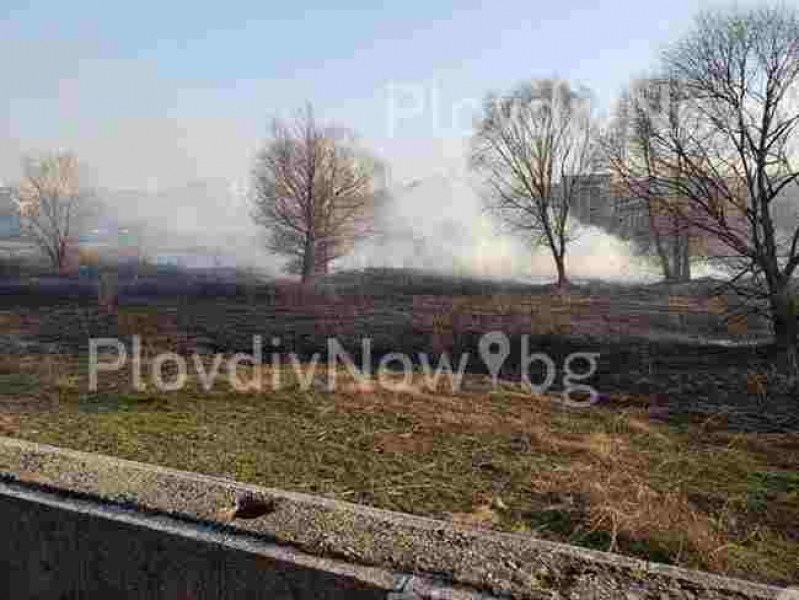 Пожар пламна край коритото на река Марица