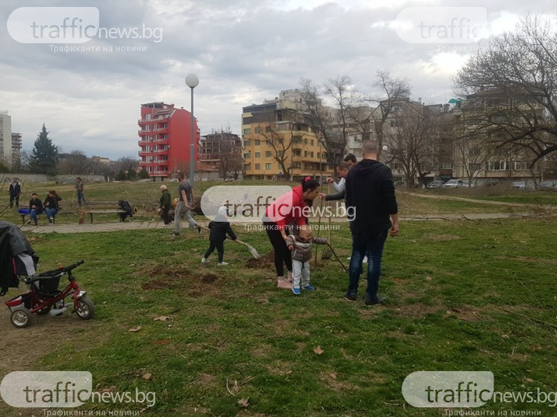 Ударна гражданска инициатива в Пловдив! 40 дървета “бранят“ парка зад “Санкт Петербург“