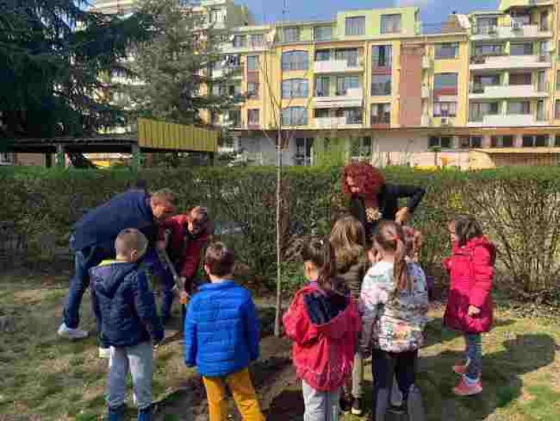 Пловдивски малчугани засадиха дръвчета в двора на детската градина СНИМКИ