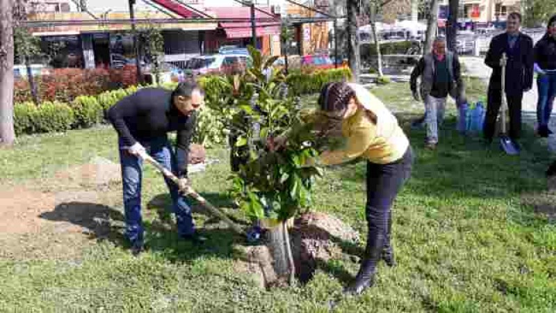 Засадиха магнолии на “Моливчетата“ в Пловдив, сложиха и къщички за птици СНИМКИ