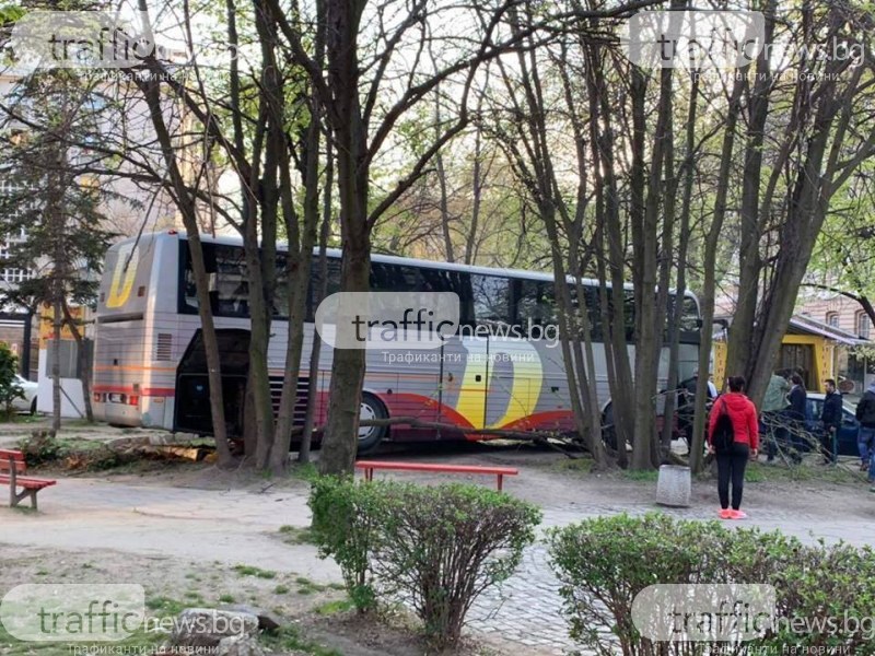 Автобус се заби в градинката пред Пловдивския университет, разбиха вратата, за да извадят шофьора