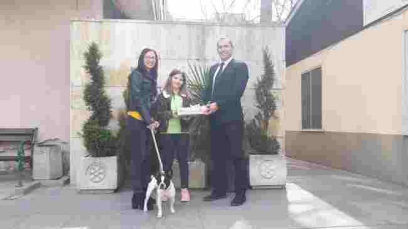 Пловдивчанка регистрира кучето си и спечели награда