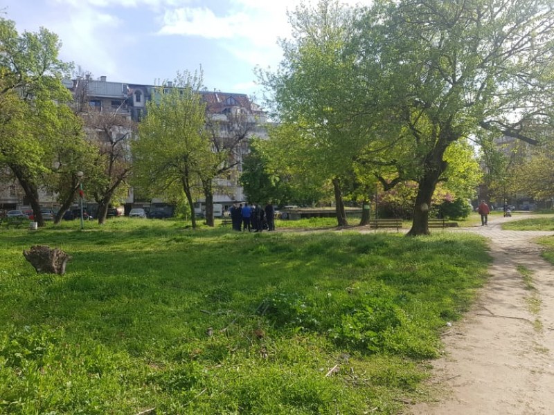 Граждански арест и полицейска намеса след скандал в частния парк в Пловдив