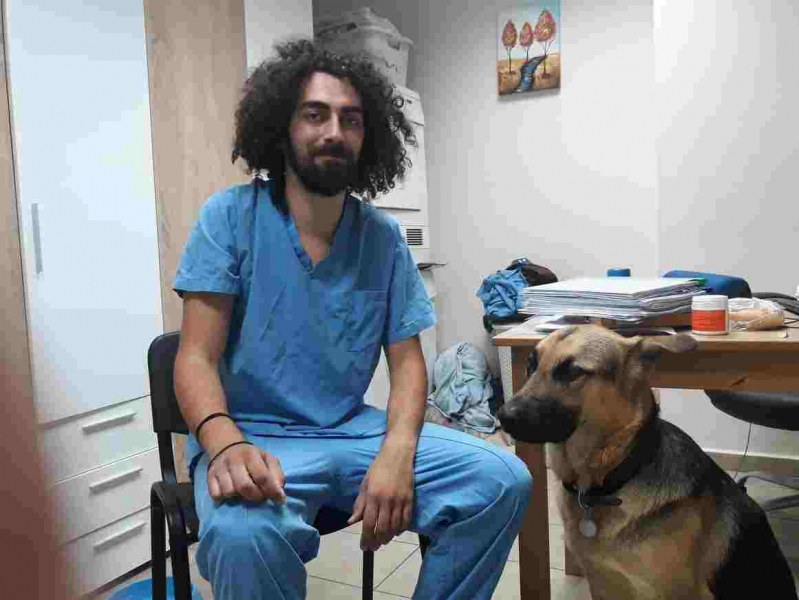Пловдивски ветеринари лекуват и кастрират безплатно улични котки