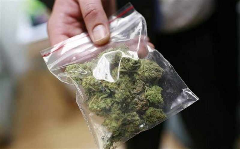 Откриха голямо количество марихуана в пловдивска заложна къща, млад мъж арестуван