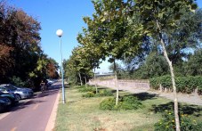 preotkrii-bul-maritsa-denia-otvorenite-405.jpg