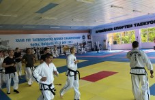 natsionalite-po-taekuon-se-sabraha-913.jpg