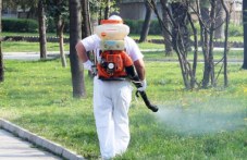 promeniat-grafika-praskane-sreshtu-144.jpg