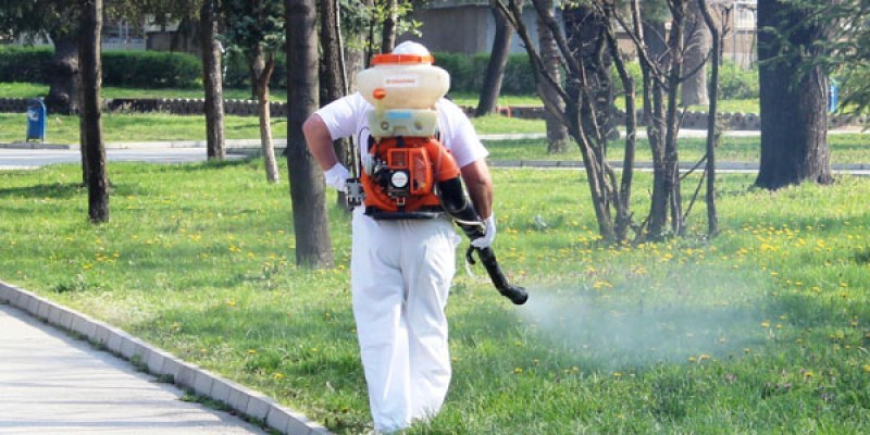 Променят графика за пръскане срещу комари в Пловдив