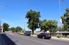 zatvariat-avtomobili-i-peshehodtsi-966.jpg