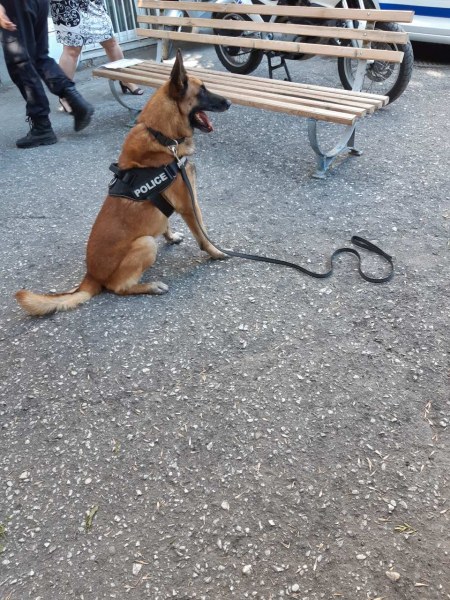 Деца гостуваха на Четвърто районно в Пловдив, запознаха се с полицейското куче