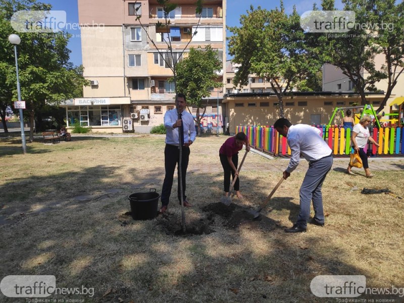 Има и такива фирми! Аутсорсинг компания и служителите й преобразиха парк в Пловдив