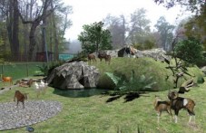 stroitelite-zooparka-plovdiv-ne-iskat-333.jpg