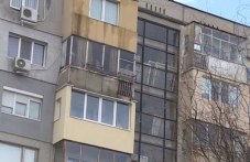 darta-debela-krava-izpravi-940.jpg