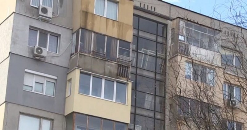 “Дърта, дебела крава” изправи пловдивчанка на съд, плати 600 лева за обида на съседка